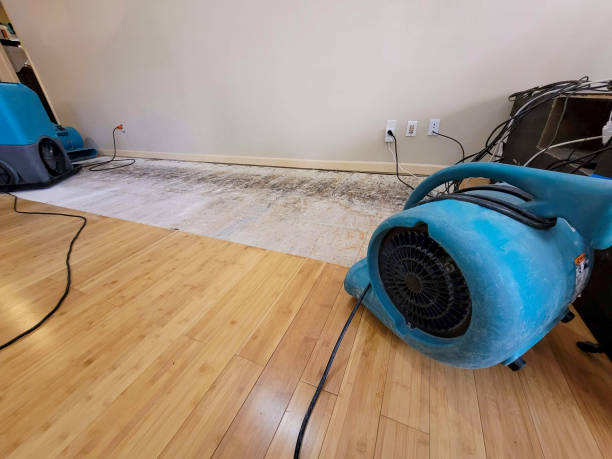Professional Structural Drying technician working in Carbon, TX